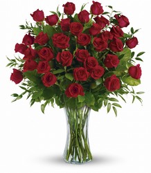 Premium- Three Dozen Red Roses from Gilmore's Flower Shop in East Providence, RI